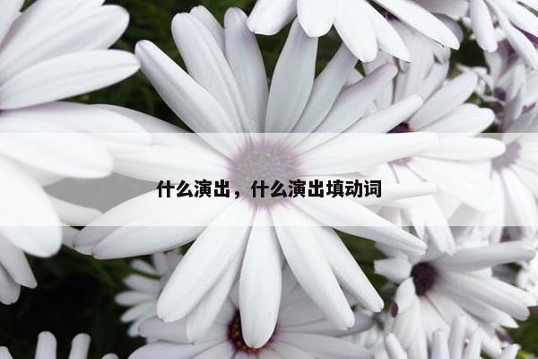 什么演出，什么演出填动词