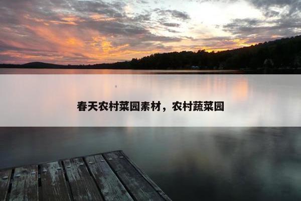 春天农村菜园素材，农村蔬菜园