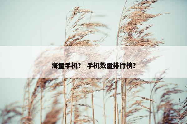 海量手机？ 手机数量排行榜？