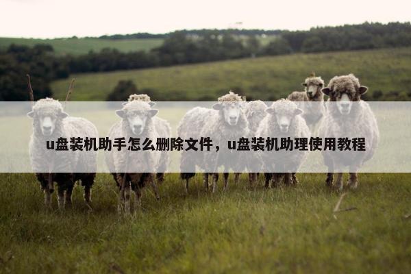 u盘装机助手怎么删除文件，u盘装机助理使用教程