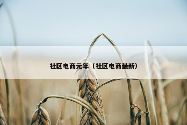 社区电商元年（社区电商最新）