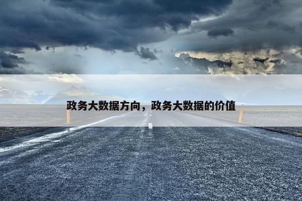 政务大数据方向，政务大数据的价值