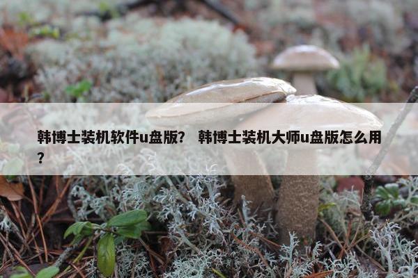 韩博士装机软件u盘版？ 韩博士装机大师u盘版怎么用？