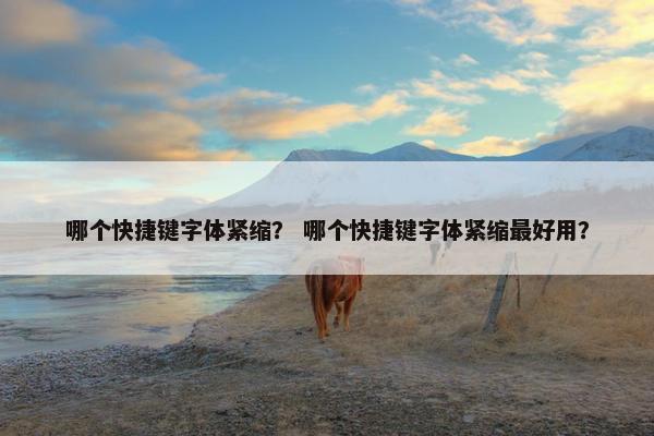 哪个快捷键字体紧缩？ 哪个快捷键字体紧缩最好用？