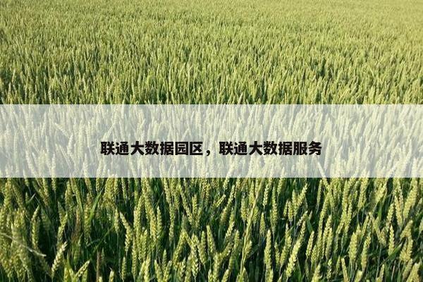 联通大数据园区，联通大数据服务