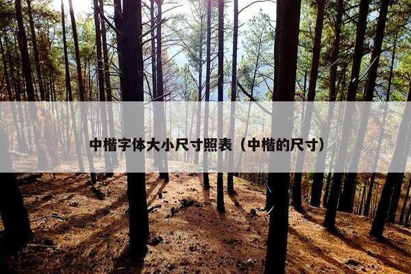 中楷字体大小尺寸照表（中楷的尺寸）