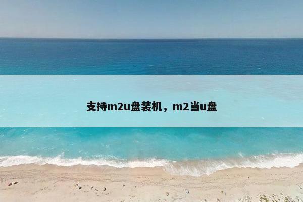 支持m2u盘装机，m2当u盘