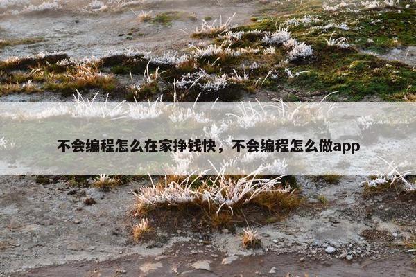 不会编程怎么在家挣钱快，不会编程怎么做app