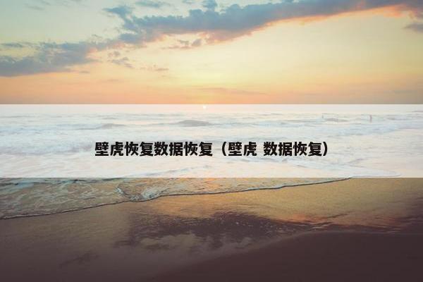 壁虎恢复数据恢复（壁虎 数据恢复）