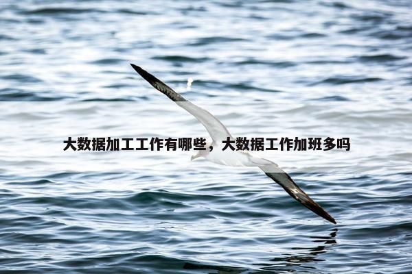 大数据加工工作有哪些，大数据工作加班多吗