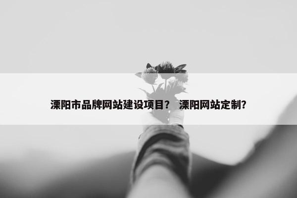 溧阳市品牌网站建设项目？ 溧阳网站定制？