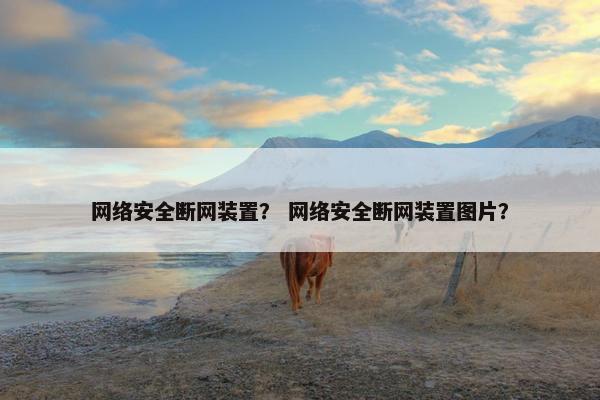网络安全断网装置？ 网络安全断网装置图片？