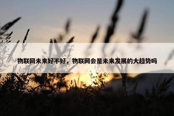 物联网未来好不好，物联网会是未来发展的大趋势吗