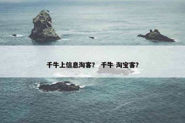 千牛上信息淘客？ 千牛 淘宝客？