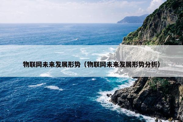 物联网未来发展形势（物联网未来发展形势分析）