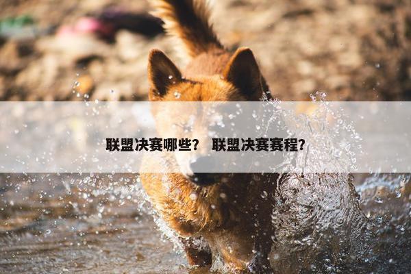 联盟决赛哪些？ 联盟决赛赛程？