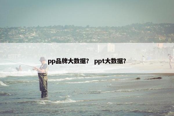 pp品牌大数据？ ppt大数据？