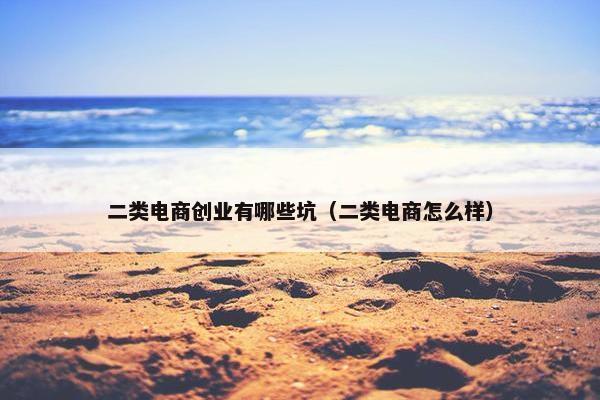 二类电商创业有哪些坑（二类电商怎么样）