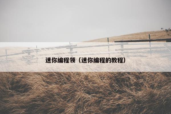 迷你编程领（迷你编程的教程）