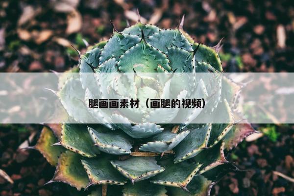 腿画画素材（画腿的视频）