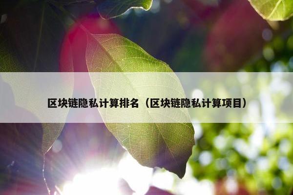 区块链隐私计算排名（区块链隐私计算项目）