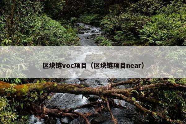 区块链voc项目(区块链项目near) 区块链voc项目(区块链项目near)