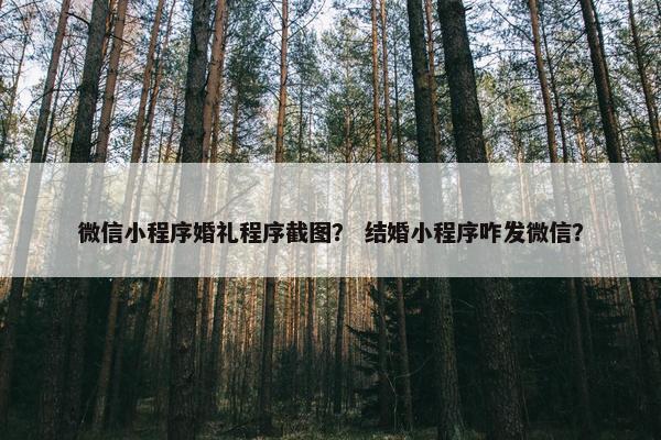 微信小程序婚礼程序截图？ 结婚小程序咋发微信？