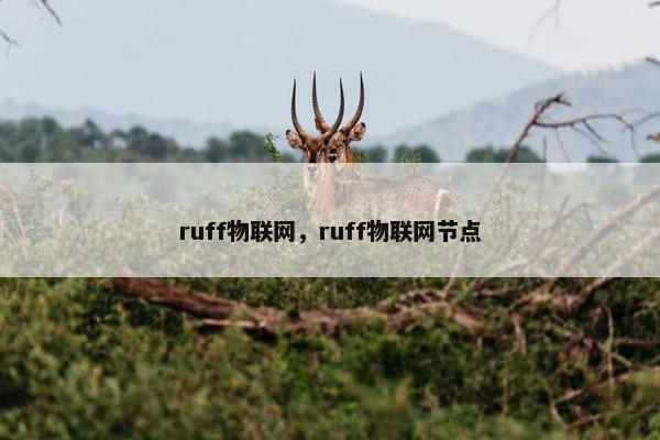 ruff物联网，ruff物联网节点