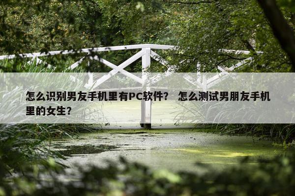怎么识别男友手机里有PC软件？ 怎么测试男朋友手机里的女生？