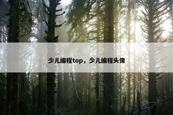 少儿编程top，少儿编程头像