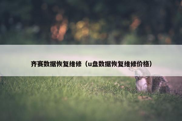 齐赛数据恢复维修（u盘数据恢复维修价格）