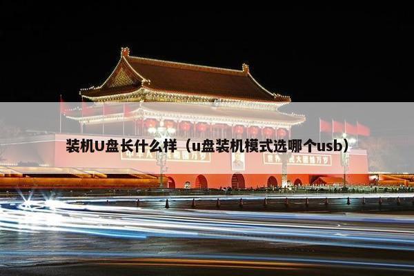 装机U盘长什么样（u盘装机模式选哪个usb）