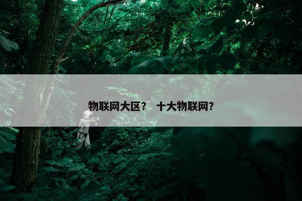 物联网大区？ 十大物联网？