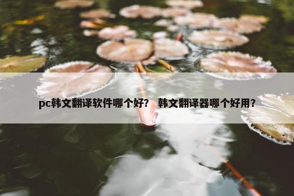 pc韩文翻译软件哪个好？ 韩文翻译器哪个好用？
