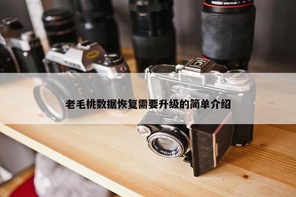 老毛桃数据恢复需要升级的简单介绍