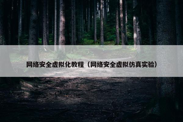 网络安全虚拟化教程（网络安全虚拟仿真实验）