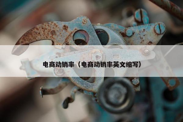 电商动销率（电商动销率英文缩写）