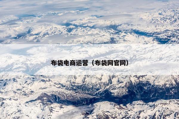 布袋电商运营（布袋网官网）