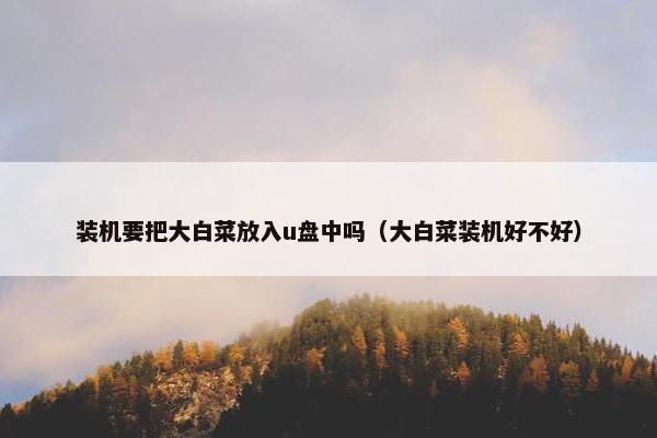 装机要把大白菜放入u盘中吗（大白菜装机好不好）