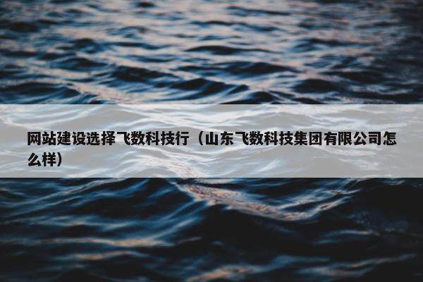 网站建设选择飞数科技行（山东飞数科技集团有限公司怎么样）