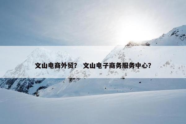 文山电商外贸？ 文山电子商务服务中心？