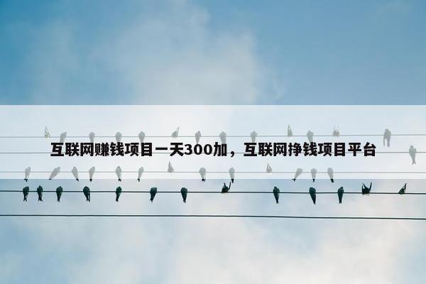 互联网赚钱项目一天300加，互联网挣钱项目平台