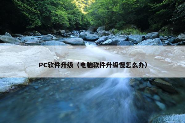 PC软件升级（电脑软件升级慢怎么办）