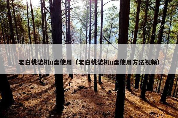 老白桃装机u盘使用（老白桃装机u盘使用方法视频）