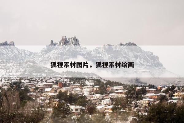 狐狸素材图片，狐狸素材绘画