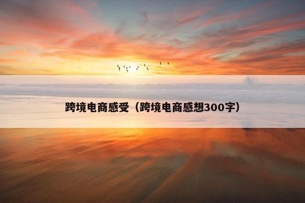 跨境电商感受（跨境电商感想300字）