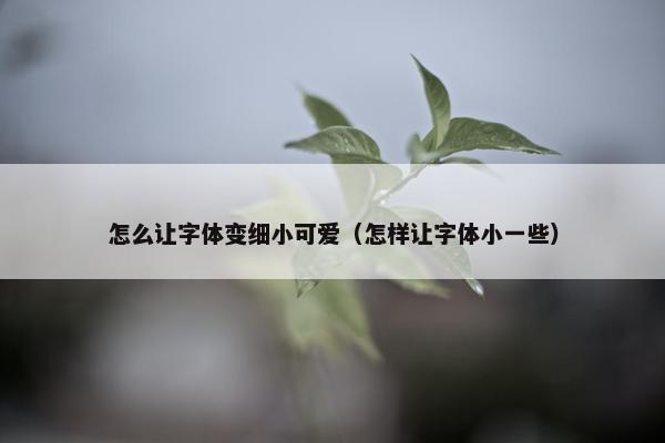 怎么让字体变细小可爱（怎样让字体小一些）