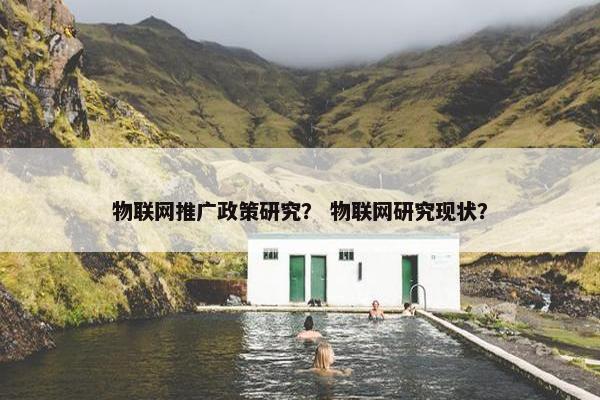 物联网推广政策研究？ 物联网研究现状？