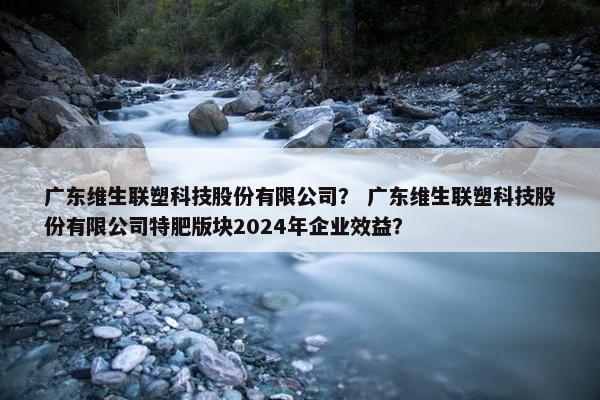 广东维生联塑科技股份有限公司？ 广东维生联塑科技股份有限公司特肥版块2024年企业效益？