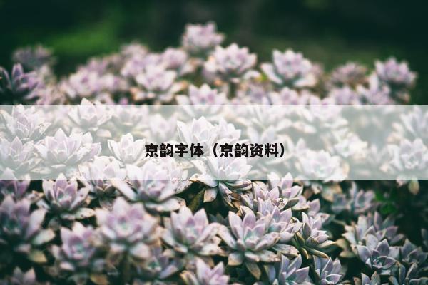 京韵字体（京韵资料）